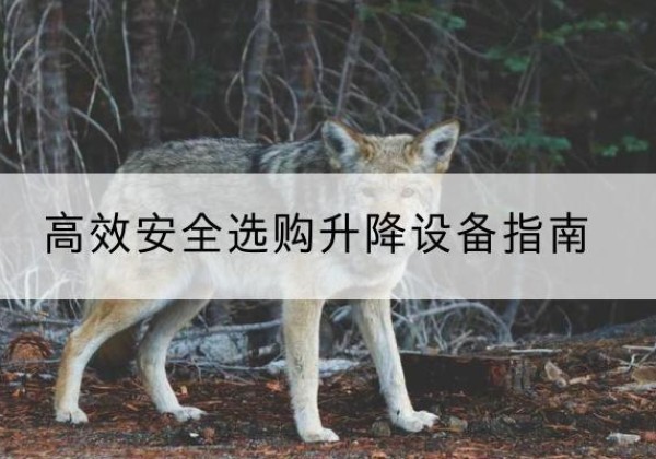 海兴升降货梯厂家推荐-*安全选购升降设备指南