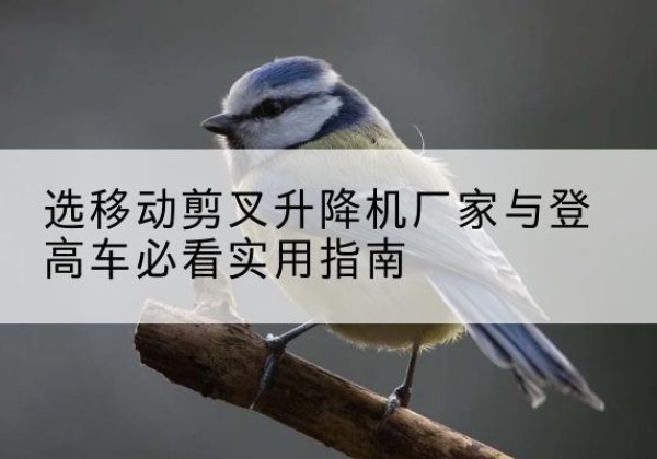 海兴电动升降机厂家-选移动剪叉升降机厂家与登高车必看实用指南