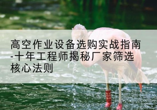 海兴剪叉式升降机厂家-高空作业设备选购实战指南-十年工程师揭秘厂家筛选核心法则